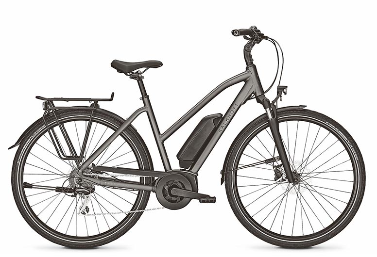 Bikes | Endeavour 1.B Move Produktbild