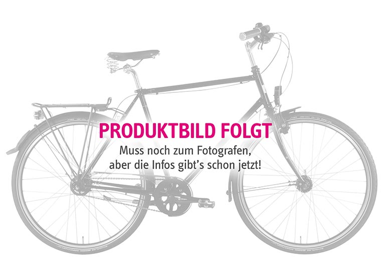 Bikes | CityRay E 7.0 CB Rücktritt Produktbild