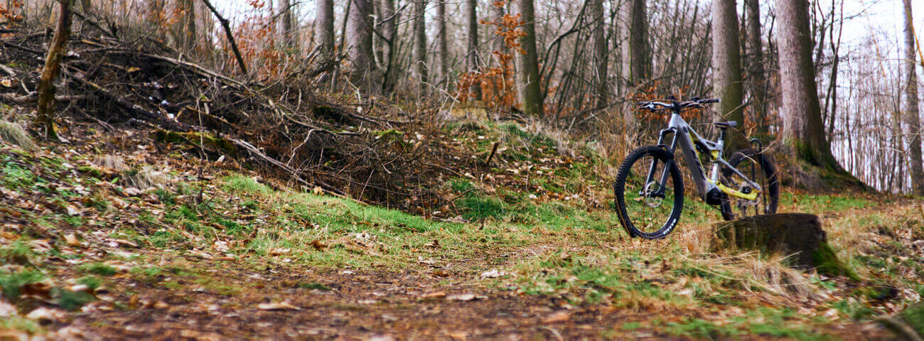 Ein E-Bike steht im herbstlich anmutenden Wald
