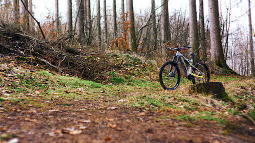 Ein E-Bike steht im herbstlich anmutenden Wald