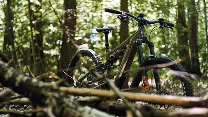 Ein grünes Fahrrad der Marke Focus steht im Wald
