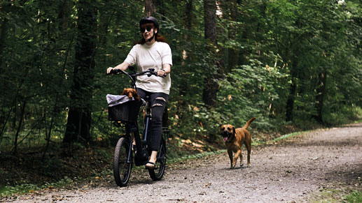 Eine Frau fährt mit den Fahrrad im Wald, ein kleiner brauner läuft neben ihr her.