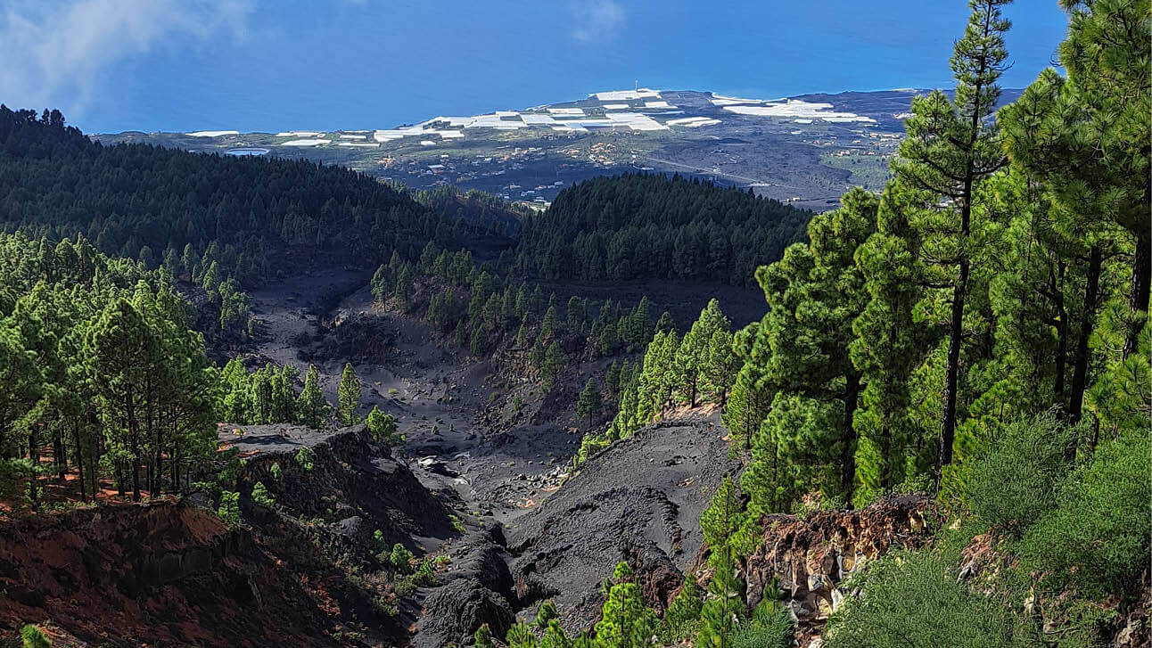 La Palma: Aussicht auf Wälder und Hügel