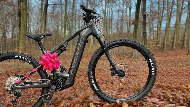 Ein schwarzes Focus-Fahrrad steht mit iener pinken geschenkschleife im Wald