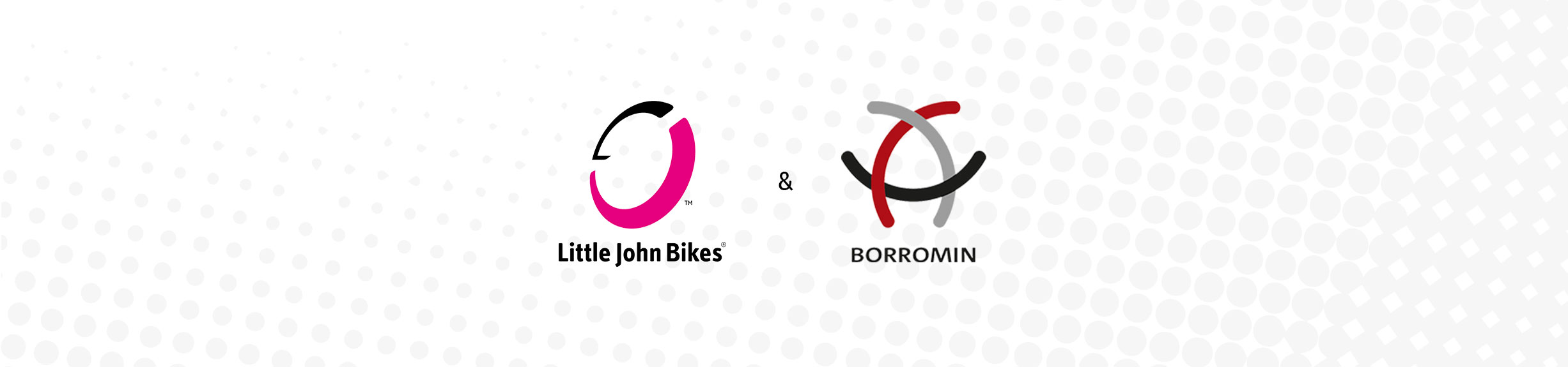 Visualisierung Gesellschafterwechsel bei Little John Bikes