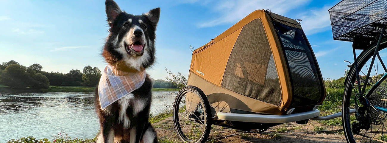 Vor einem Fahrradanhänger der Firma Croozer am Flussufer sitzt ein Hund mit Halstuch