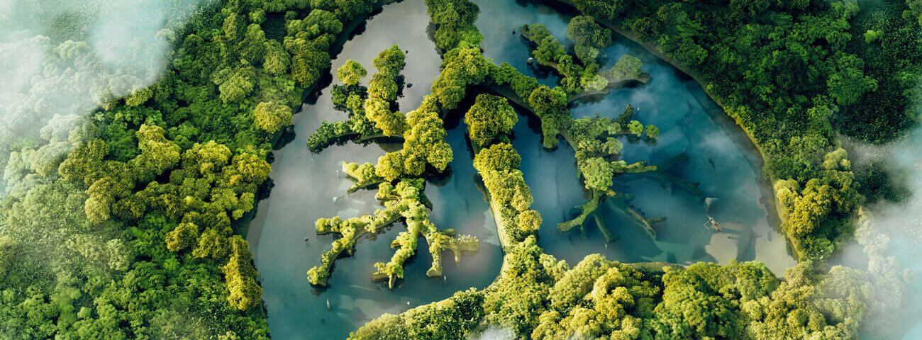 Animation eines Regenwaldes als grüne Lunge